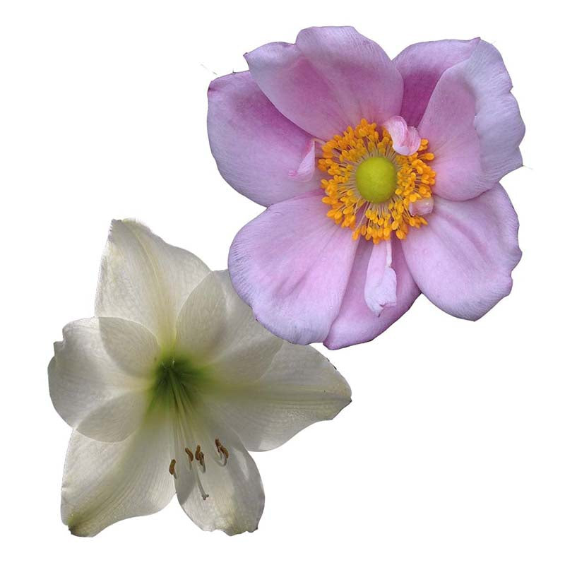 Make a Flower Brooch- Kit 2 pins