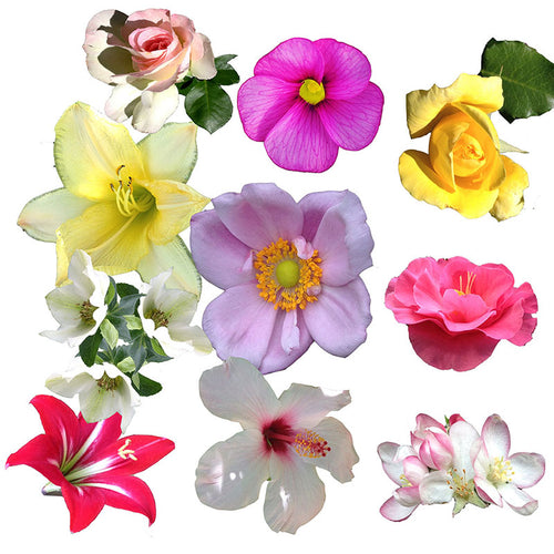 Make a Flower Brooch- Kit 10 pins